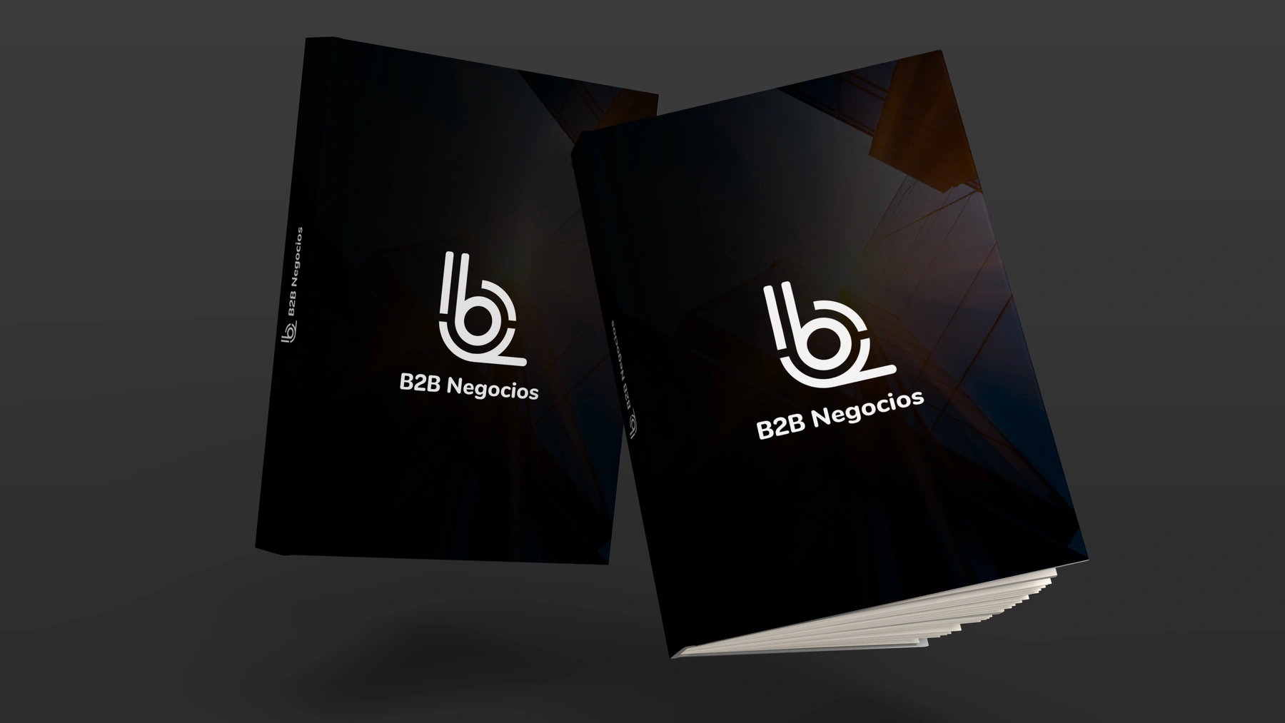 B2B Negocios — Brand applications