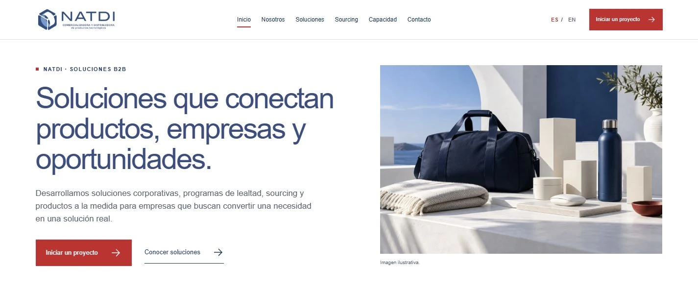 NATDI — Web design