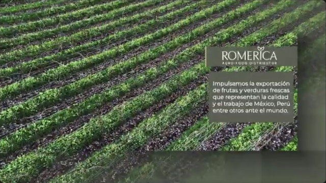 Romerica Teams — Contenido audiovisual · Webflow